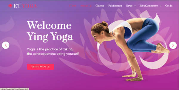 Yoga Stash Website is For Sale
