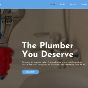 Blue Lake Plumbing Website is For Sale